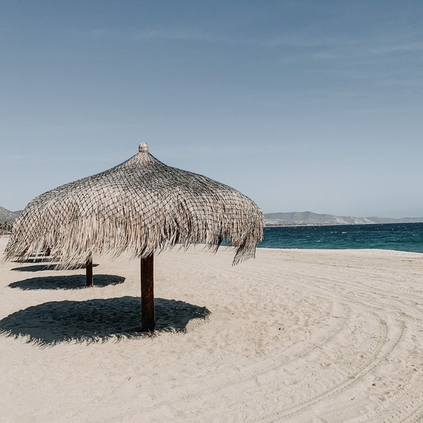 Palapa sul mare di Cortez (Stampa)