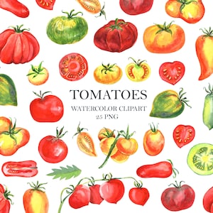 Clipart aquarelle de tomates, vert, tomate cerise, légumes, végétarien, végétalien, agriculture, téléchargement numérique, alimentation saine, jardinage