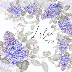 Aquarelle Lilas Clipart, Fleur de Lila Bleu Violet, Clipart Floral, Printemps, Mariage, Carte de fête des mères, PNG numérique