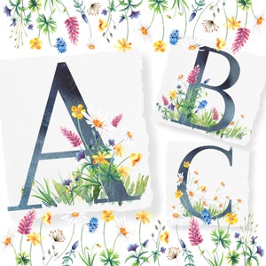 Alfabeto de flores silvestres em aquarela, letra, número, margarida, clipart de flores brancas rosa azul amarelas, cartões de casamento florais, convite de aniversário
