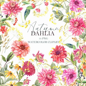 Clipart floral dahlia aquarelle, automne rouge, fleurs roses, automne, carte de fête des mères, fond de mariage, plante. Peint à la main, PNG