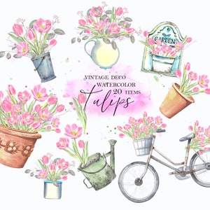 Tulipes roses vintage clipart floral, vélo, pâques, jardin, carte de fête des mères. Fond de mariage aquarelle, plante. Papouasie-Nouvelle-Guinée