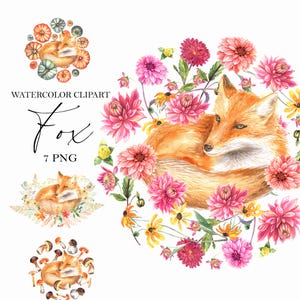 Aquarela Red Fox, dália girassóis florais clipart, flores rosas de outono, cartão de dia das mães, fundo de casamento, planta. Pintado à mão, PNG
