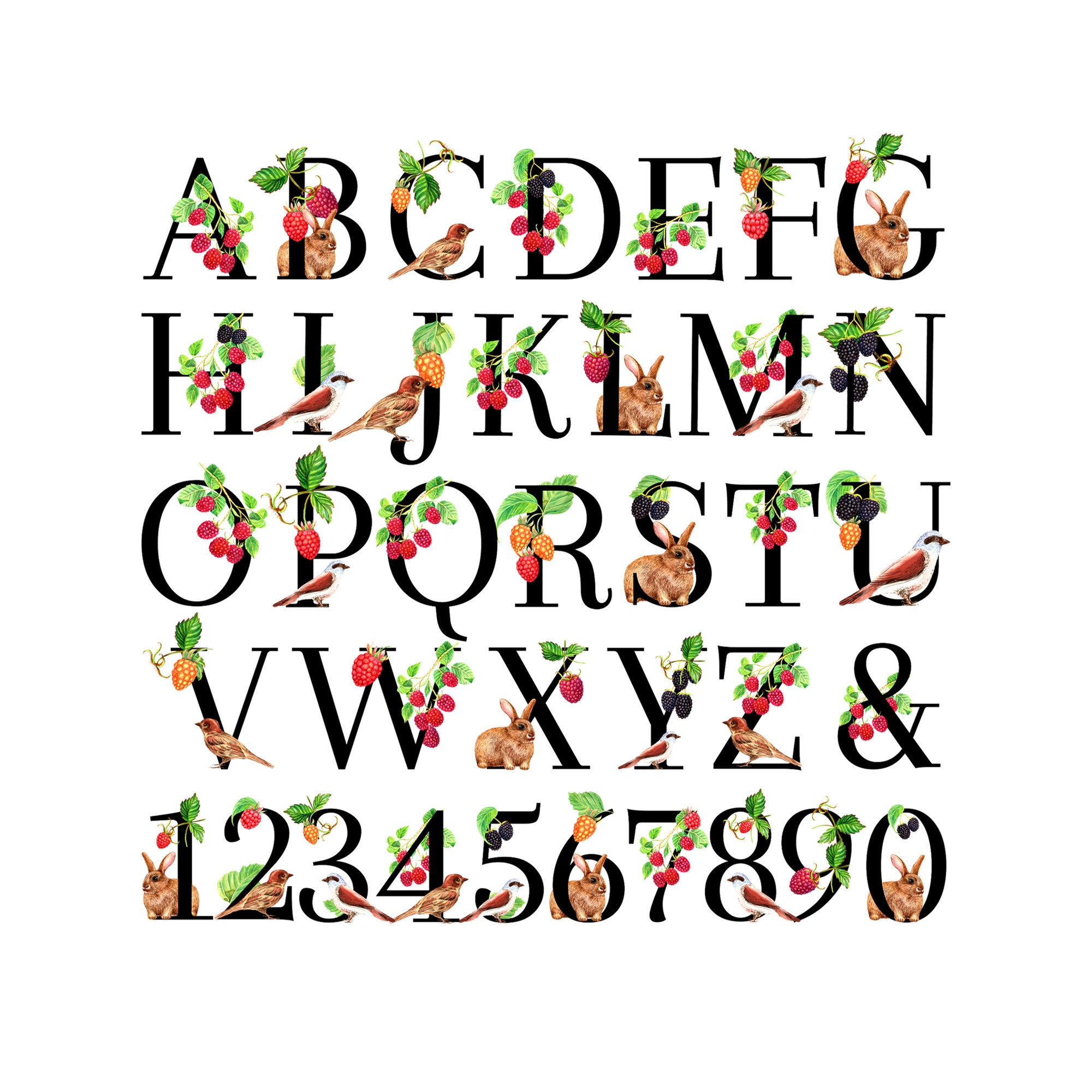 Raspberry Lettering Watercolor Raspberry, Cute Animals Embellished Letters Numbers Alphabet ...