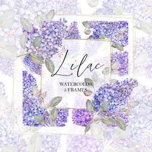 Aquarell Flieder Kranz, Rahmen, blaue Blume, lila Farbe, Blumen, Hochzeitskarten, Geburtstagseinladung, Valentinstag, digitale Clipart PNG