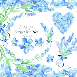 Aquarelle forget Me Not Clipart, Blue Flower, figment, oublié, Fremont fragment, Spring, Wedding, Carte de fête des mères, Digital PNG