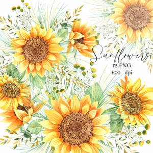 Sunflowers watercolor clipart, autumn bouquet composition, fall rustic wedding decor,  flowers png