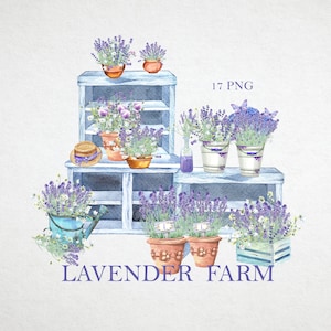 Ferme de lavande lilas, vintage Provence confortable, logo, papillon, fleurs bleues, campanule, clipart numérique PNG, aquarelle florale, cartes de mariage