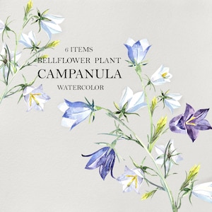 Blaue Glockenblumen, Glockenblumen, digitale Clipart PNG, Blumenaquarell, Hochzeitskarten, Geburtstag, Muttertag Einladung