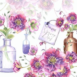 Hellebore Frühlingsrose Clipart, Glasflasche, rosa, blaue Blume, flieder farbe, floral, Hochzeitskarten, GeburtstagSeinladung