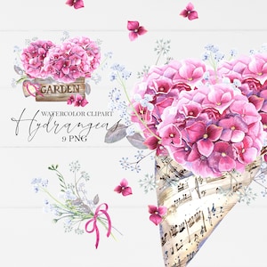 Aquarell rosa Hortensien Strauß, zarte Blumen, Digitale Garten Clipart PNG, Blumen, Hochzeitskarten, Geburtstagseinladung, Valentine