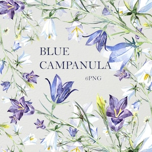 Convite Campânula azul, campainhas, planta de campânula, quadro, clipart digital, aquarela floral, cartões de casamento, aniversário, dia das mães