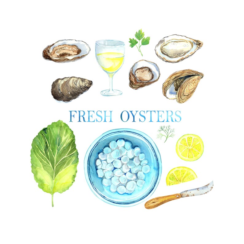 Watercolor seafood, oyster clipart, food clip art, digital PNG, printable poster image 3