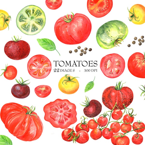 Aquarelle Tomates Clipart - Tomates cerises - Légumes - Végétarien - Végétalien - Agriculture -Téléchargement numérique - Alimentation saine - Jardinage