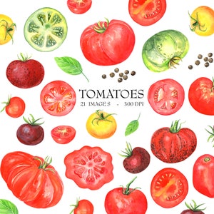 Aquarelle Tomates Clipart - Tomates cerises - Légumes - Végétarien - Végétalien - Agriculture -Téléchargement numérique - Alimentation saine - Jardinage