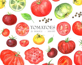 Watercolor Tomatoes Clipart  - Cherry Tomatoes - Vegetables - Vegetarian - Vegan - Farming -Digital Download - Healthy Food - Gardening