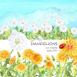 Dentes-de-leão aquarela, bolas de sopro, clipart de verão de flores amarelas selvagens, casamento floral, convite, cartão de felicitações
