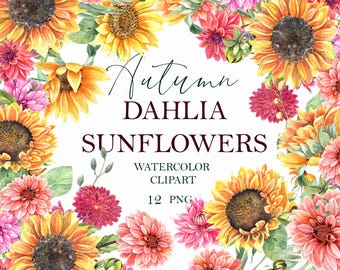 Watercolor dahlia sunflowers floral clipart, autumn pink flowers, fall, mother's day card, wedding background, plant. Hand painted , PNG