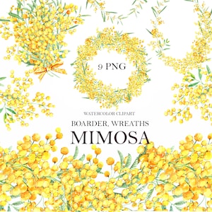 Clipart boarder acquerello Mimosa, composizione bouquet primaverile, festa della mamma, decorazioni rustiche per matrimoni, fiori png