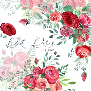 Acquerello rosa rossa clipart floreale, biglietto della festa della mamma, sfondo del matrimonio, pianta. Cuore dipinto a mano, PNG
