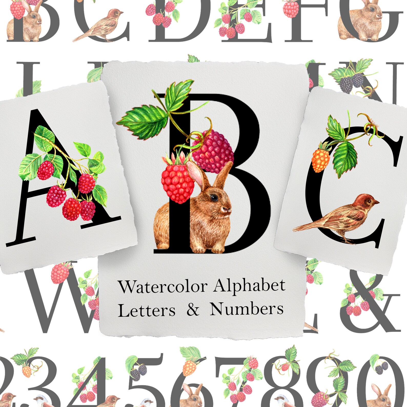 Raspberry Lettering Watercolor Raspberry, Cute Animals Embellished Letters Numbers Alphabet ...