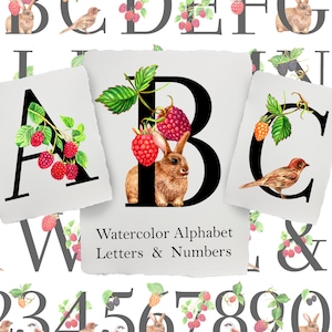 Watercolor raspberry, cute animals Embellished Letters Numbers alphabet, floral clipart, Rabbit, Birds, Custom Baby Name, fonts PNG