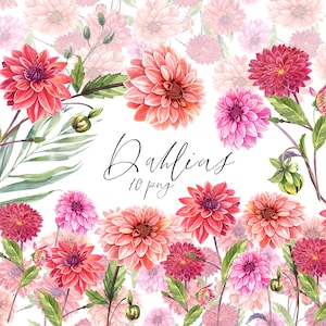 Clipart floral dahlia aquarelle, automne rouge, fleurs roses, automne, carte de fête des mères, fond de mariage, plante. Peint à la main, PNG