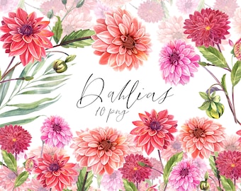Akwarela dalia kwiatowy clipart, jesień czerwony, różowe kwiaty, jesień, kartka na dzień matki, tło ślubne, roślina. Malowane ręcznie, PNG