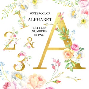 Acuarela Alfabeto floral de oro, polvoriento, amarillo, rosas blancas, letras embellecidas números, clipart, PNG, monograma de decoración de bodas