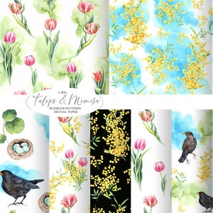 Clipart acquerello tulipani Mimosa, modello senza cuciture, carta digitale, composizione bouquet primaverile, festa della mamma, decorazioni rustiche per matrimoni