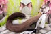 Cosplay Cat Ears and Tail : Siamese cat set 