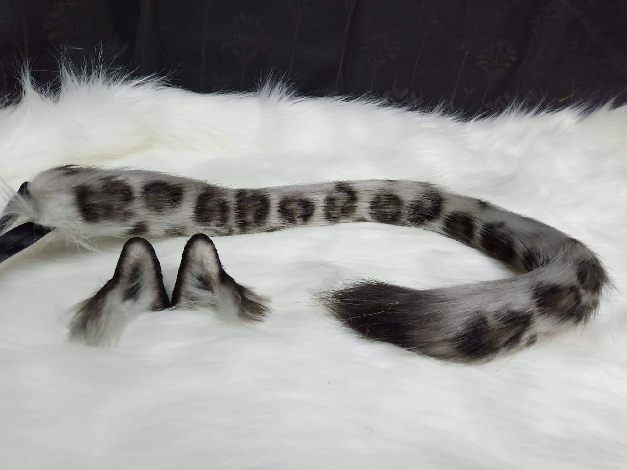 Snow leopard ears and tail