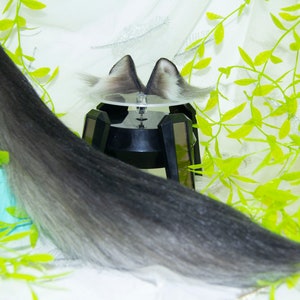 BJD (Doll) Wolf Ears and Tail Set