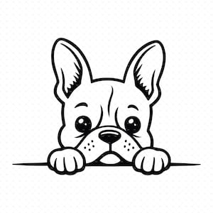 Spähende Französische Bulldogge SVG, Png, Eps, Pdf, Spähende Bulldogge SVG, Spähender Welpe SVG, Spähender Hund SVG, Bulldogge Welpen Website