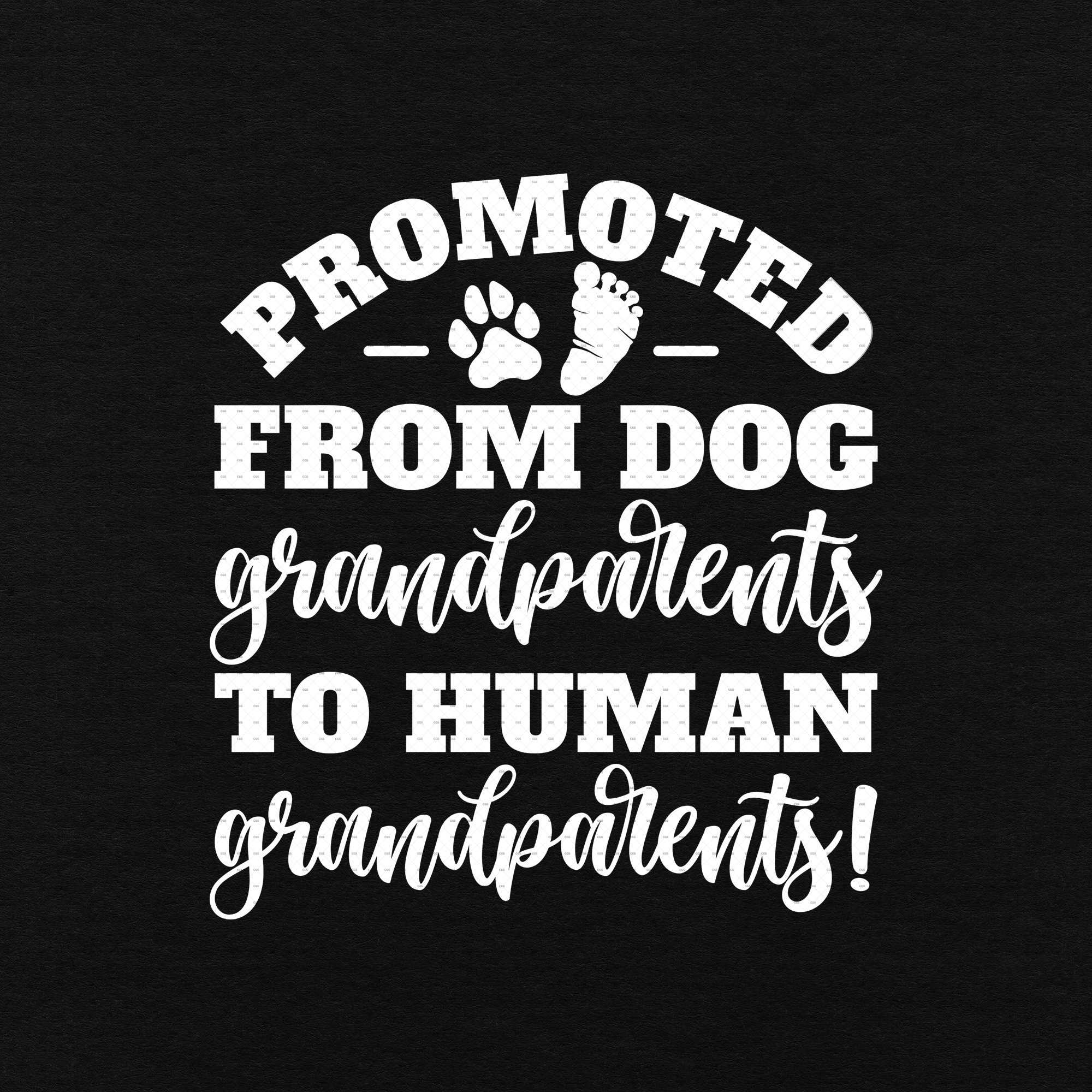 Promoted From Dog Grandparents to Human Grandparents Svg Png Etsy