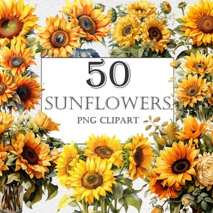 50 Watercolor Sunflowers Clipart, Fall Sunflower floral bouquets in PNG format instant download for commercial use, Autumn Summer flowers