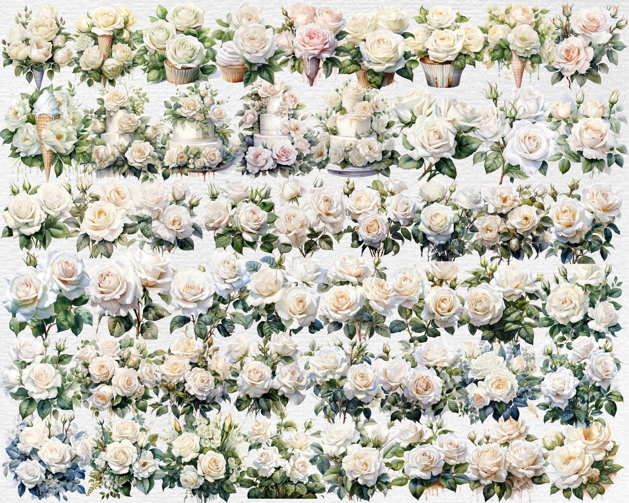 White Roses Flowers Watercolor Clipart Bundle - 379 PNG Flower Images ...