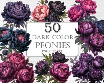 Dark pink purple red black color peony clipart, Watercolor peonies flowers clipart, Transparent BG, Realistic flowers png, Instant Download