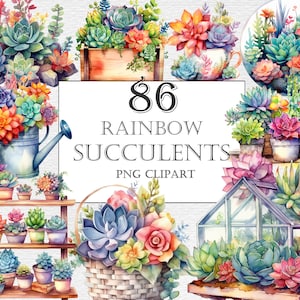 May include: 86 watercolor illustrations of rainbow succulents in various arrangements, including a watering can, a teacup, a greenhouse, and a basket. PNG clipart.