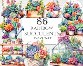 May include: 86 watercolor illustrations of rainbow succulents in various arrangements, including a watering can, a teacup, a greenhouse, and a basket. PNG clipart.