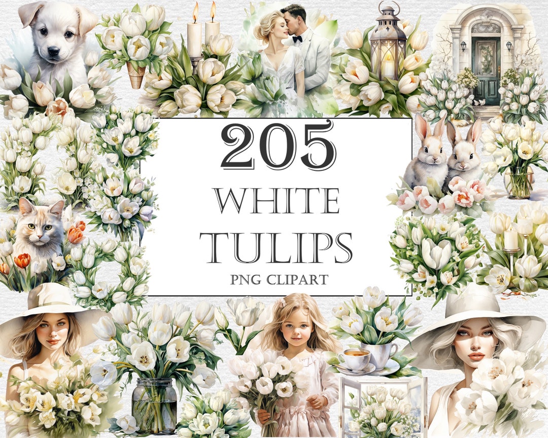White Tulips Watercolor Clipart Bundle, 205 PNG Tulip Flower Images ...