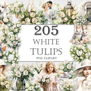 White Tulips Watercolor Clipart Bundle, 205 PNG Tulip Flower Images, Beautiful Floral Graphic, Instant Digital Download, Commercial Use