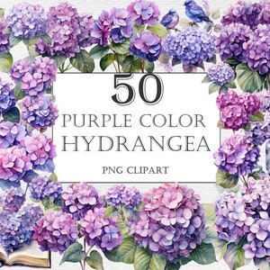 Pacote de flores de hortênsia roxa aquarela 50 clipart, flores de verão, pacote floral PNG, download instantâneo, lindos gráficos florais