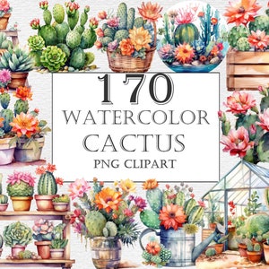 Pacote de clipart de aquarela de cacto - 170 PNG, clipart de plantas do deserto, clipart suculento, download digital instantâneo, clipart floral de plantas de casa