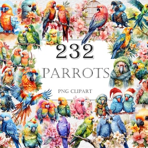 Parrots Watercolor Clipart Bundle - 232 PNG Parrots Images, Cartoon Tropical Birds Graphics, Instant Digital Download, Commercial Use