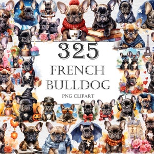 Pacote de clipart aquarela de buldogue francês - 325 imagens PNG de cachorro adorável, cachorrinho fofo de buldogue francês, download digital instantâneo, uso comercial