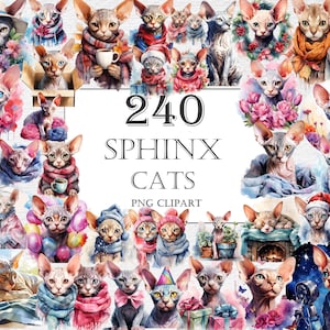 Puede incluir: Un collage digital con 240 gatos esfinge en varias poses y atuendos. Los gatos, de estilo acuarela, llevan sombreros, bufandas y tazas. El texto dice "240 SPHINX CATS PNG CLIPART".