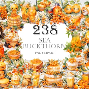 Sea Buckthorns Watercolor Clipart Bundle - 238 PNG Images of Berries Cake, Oil, Jam in the Jar, Instant Digital Download, Commercial Use