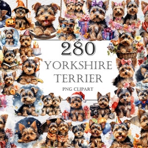 Yorkshire Terrier Watercolor Clipart Bundle - 280 PNG Cute Yorkshire Terrier Puppy Printables, Instant Digital Download, Commercial Use