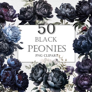 Fondo transparente de peonía negra, imágenes prediseñadas de flores de peonías de acuarela con descarga instantánea, imágenes prediseñadas de peonías góticas oscuras, ramos de peonías